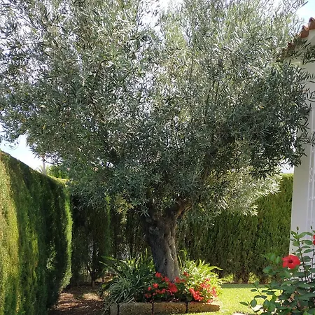 La Casa De Sara
