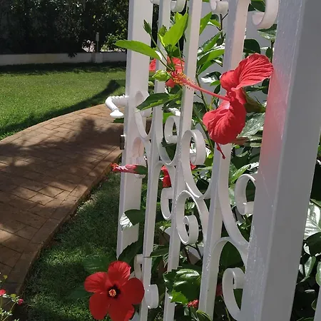 La Casa De Sara * Les Deveses